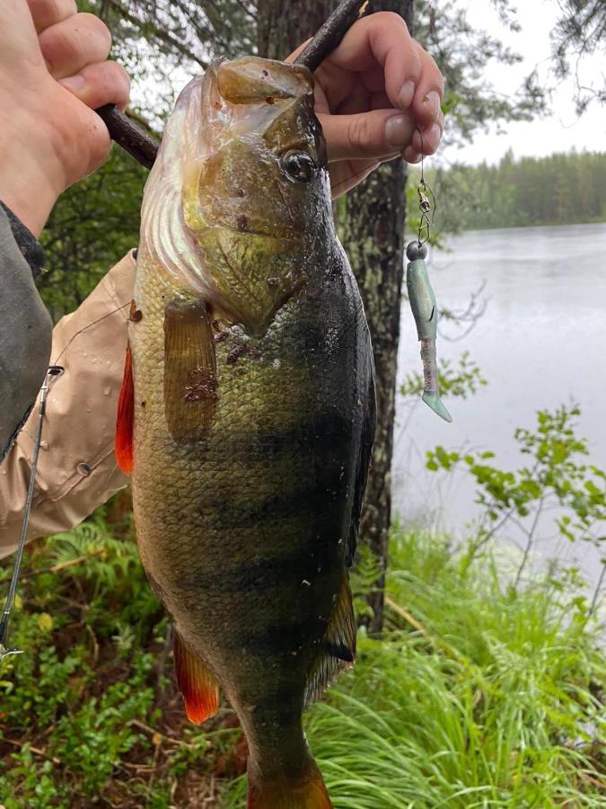 Вілла Saimaa Raikala Vuoriniemi Екстер'єр фото