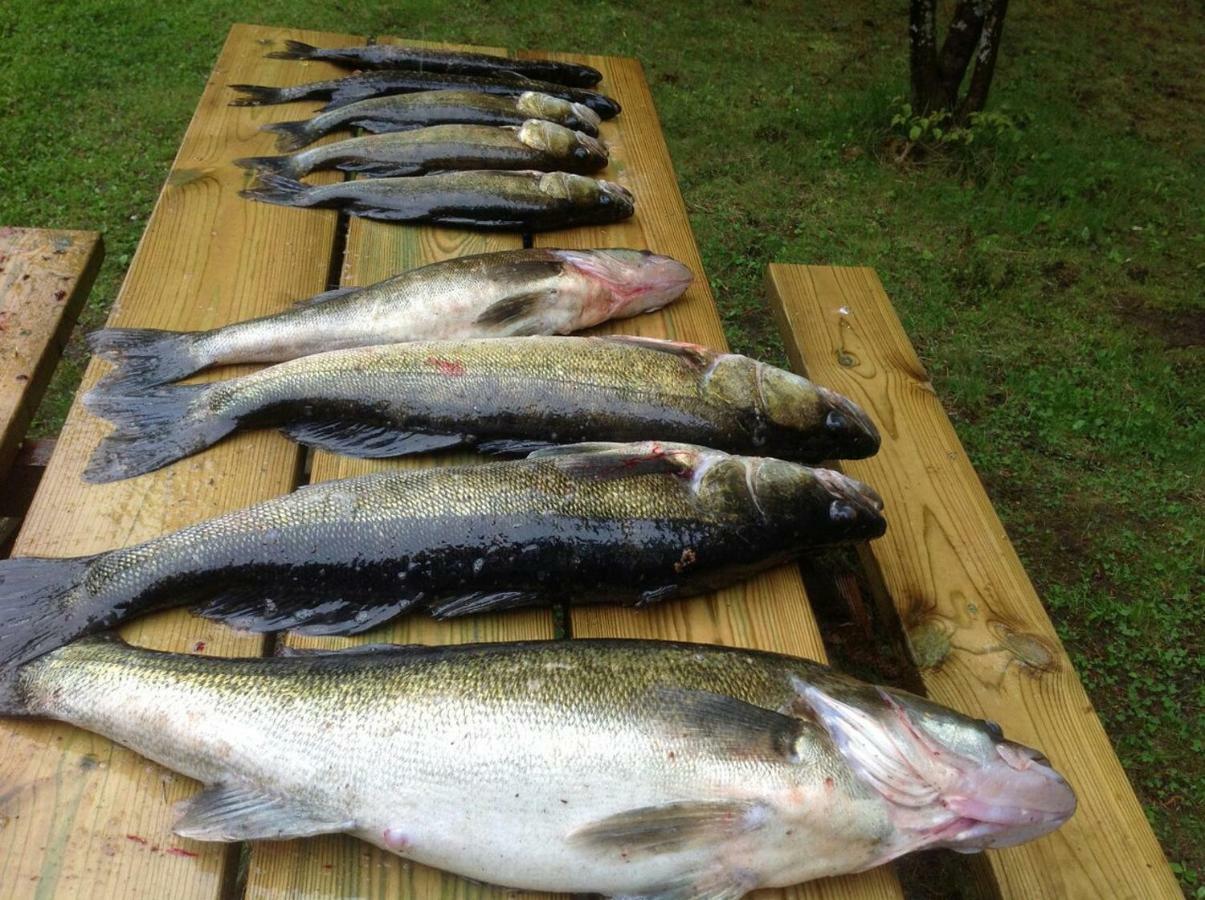 Вілла Saimaa Raikala Vuoriniemi Екстер'єр фото